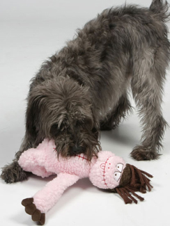 Huggle Hounds Huggle Hounds